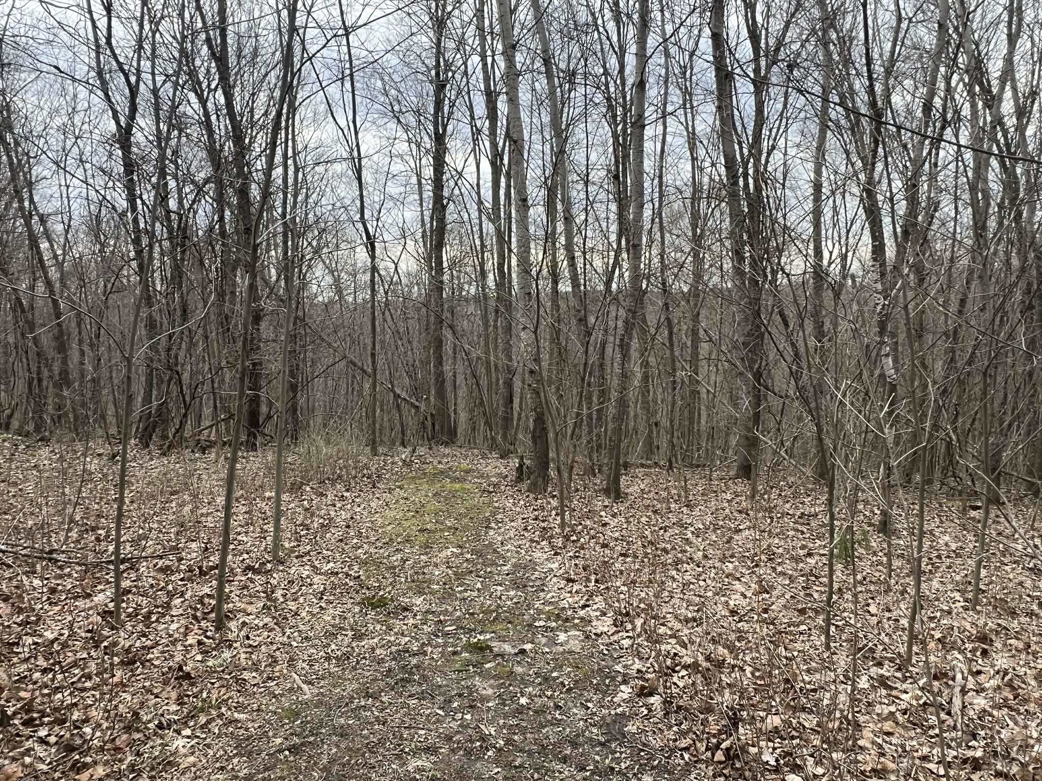 S7460 Song Bird Lane Readstown, WI 54652 - Photo 30 of 53