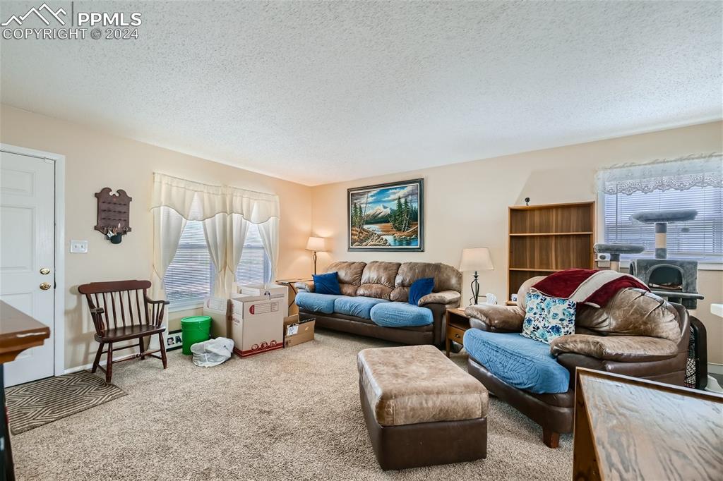 3103 Galley Road Colorado Springs, CO 80909 - Photo 5 of 25 a living room with furniture and a couch