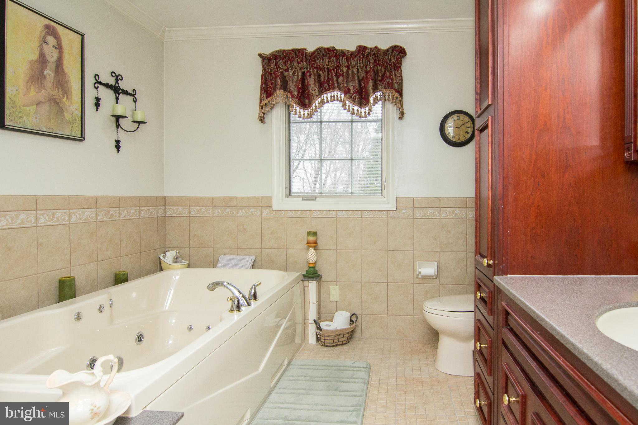 2088 Coon Club Road Westminster, MD 21157 - Photo 17 of 30 Bath (Master)