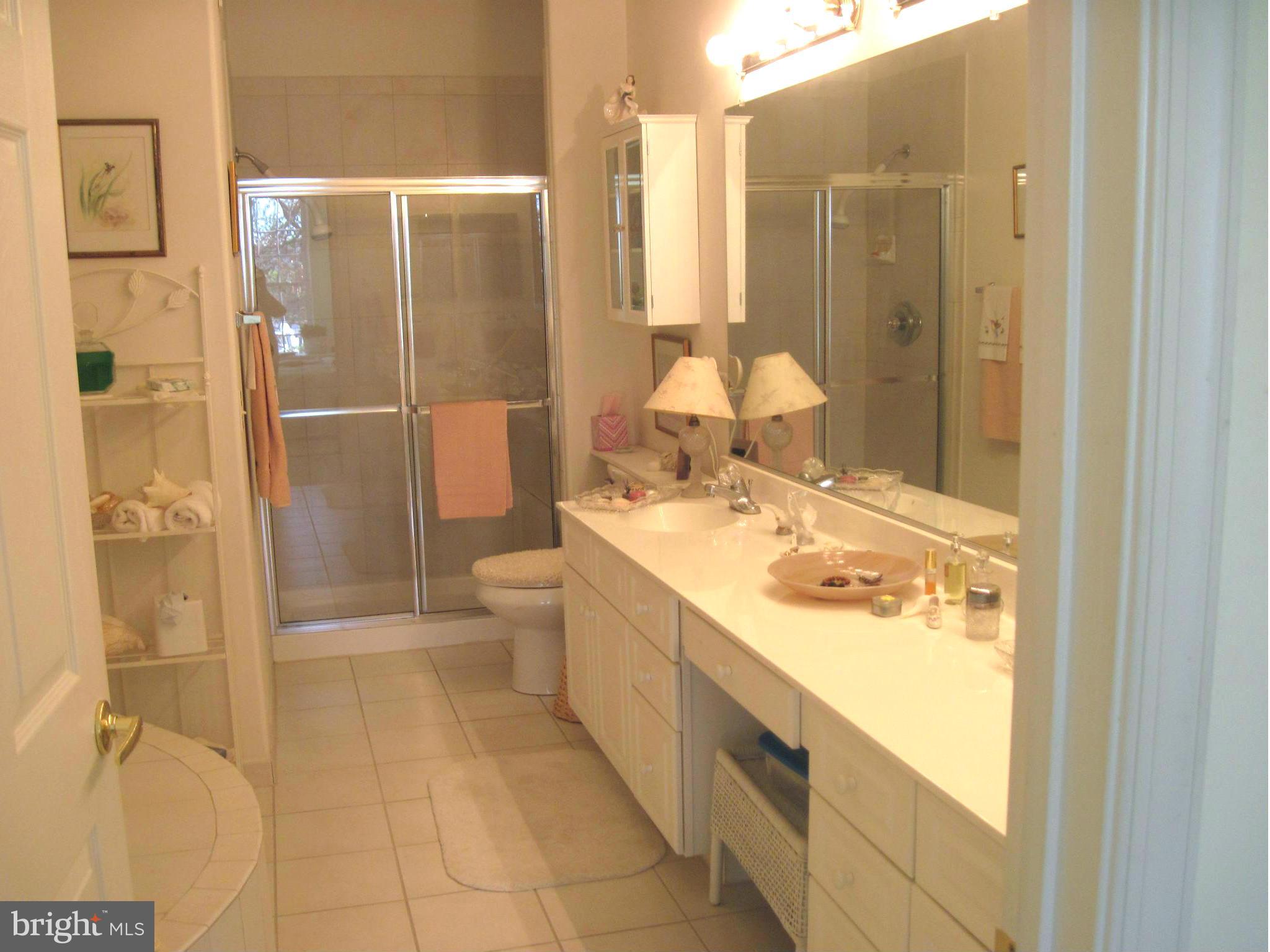 622 Runabout Loop, Unit 622 Solomons, MD 20688 - Photo 17 of 28 Bath (Master)