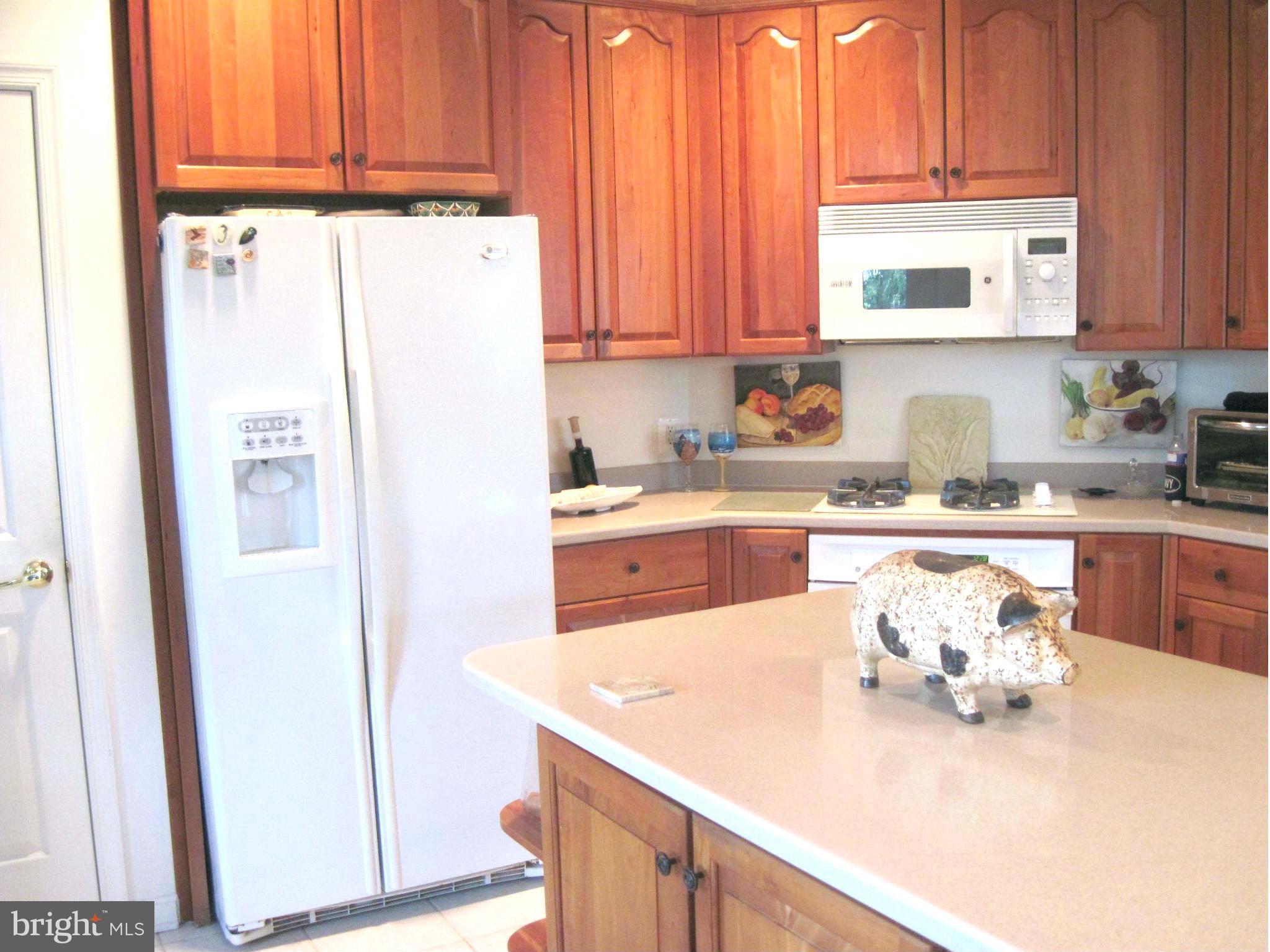 622 Runabout Loop, Unit 622 Solomons, MD 20688 - Photo 9 of 28 Kitchen