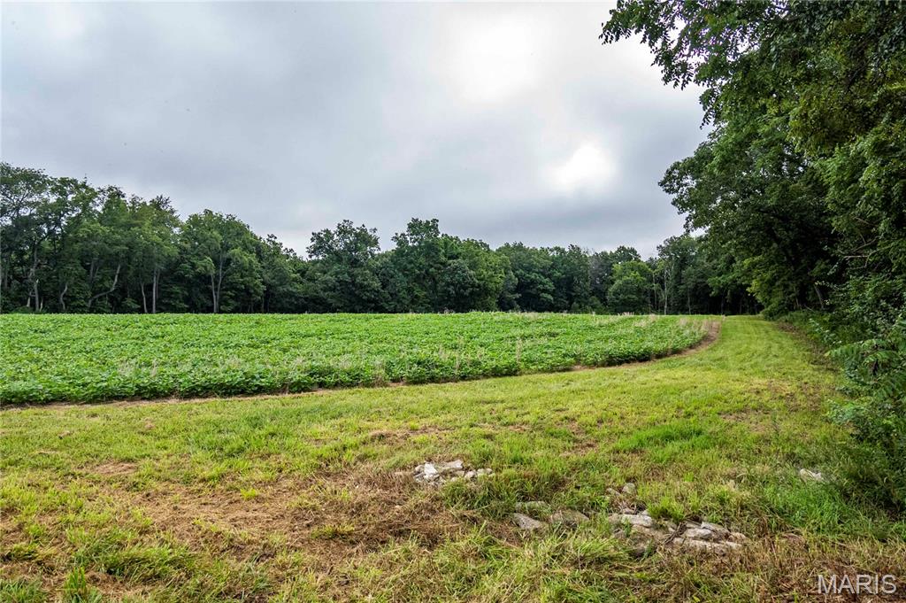 0 Terry Park Road Palmyra, IL 62674 - Photo 72 of 73 Gallery Image 72