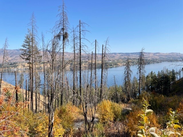 1 South Lakeshore Road Chelan, WA 98816 - Photo 11 of 11