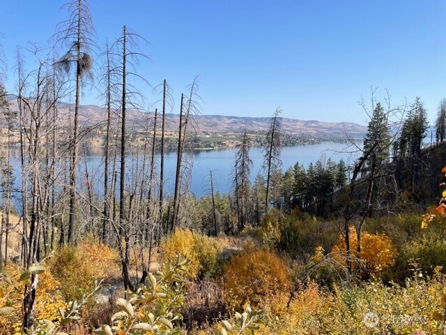 1 South Lakeshore Road Chelan, WA 98816 - Photo 9 of 11