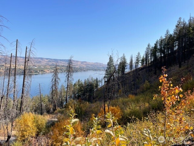 1 South Lakeshore Road Chelan, WA 98816 - Photo 10 of 11