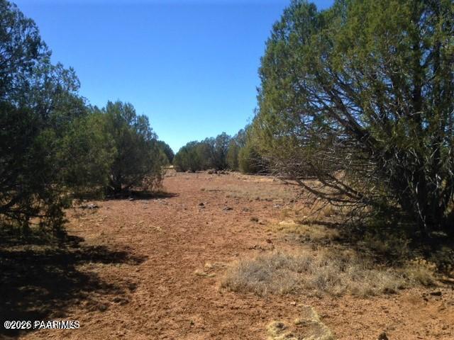 357 Lucky Lane Ash Fork, AZ 86320 - Photo 1 of 12