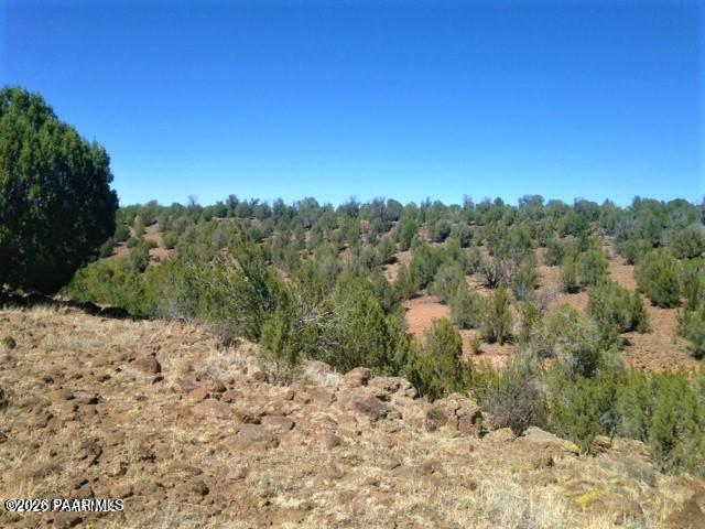 357 Lucky Lane Ash Fork, AZ 86320 - Photo 11 of 12 a view of a dry yard with trees in the background