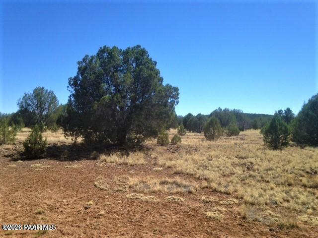 357 Lucky Lane Ash Fork, AZ 86320 - Photo 3 of 12 a view of a yard