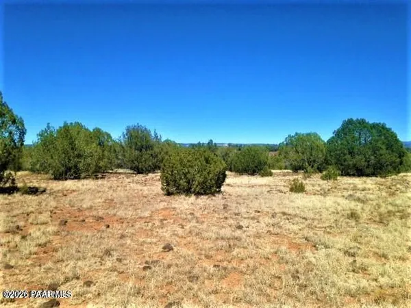 a view of a yard covered in snow