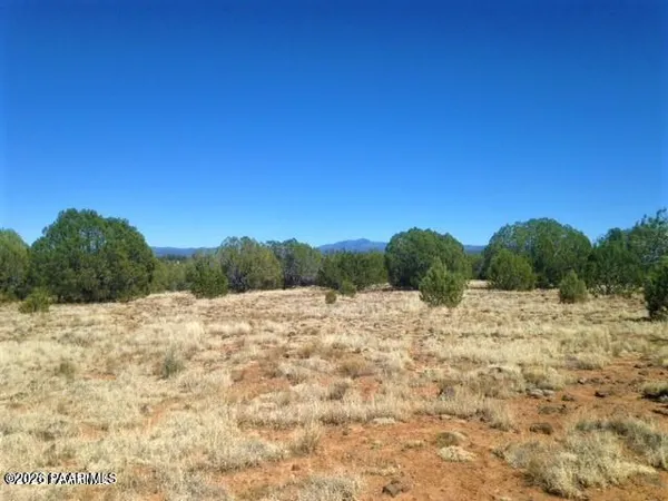 a view of a dry yard