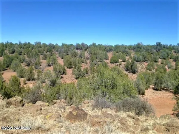 a view of a dry yard with trees in the background
