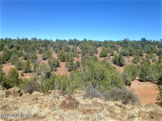 357 Lucky Lane Ash Fork, AZ 86320 - Photo 10 of 12 a view of a yard with a tree