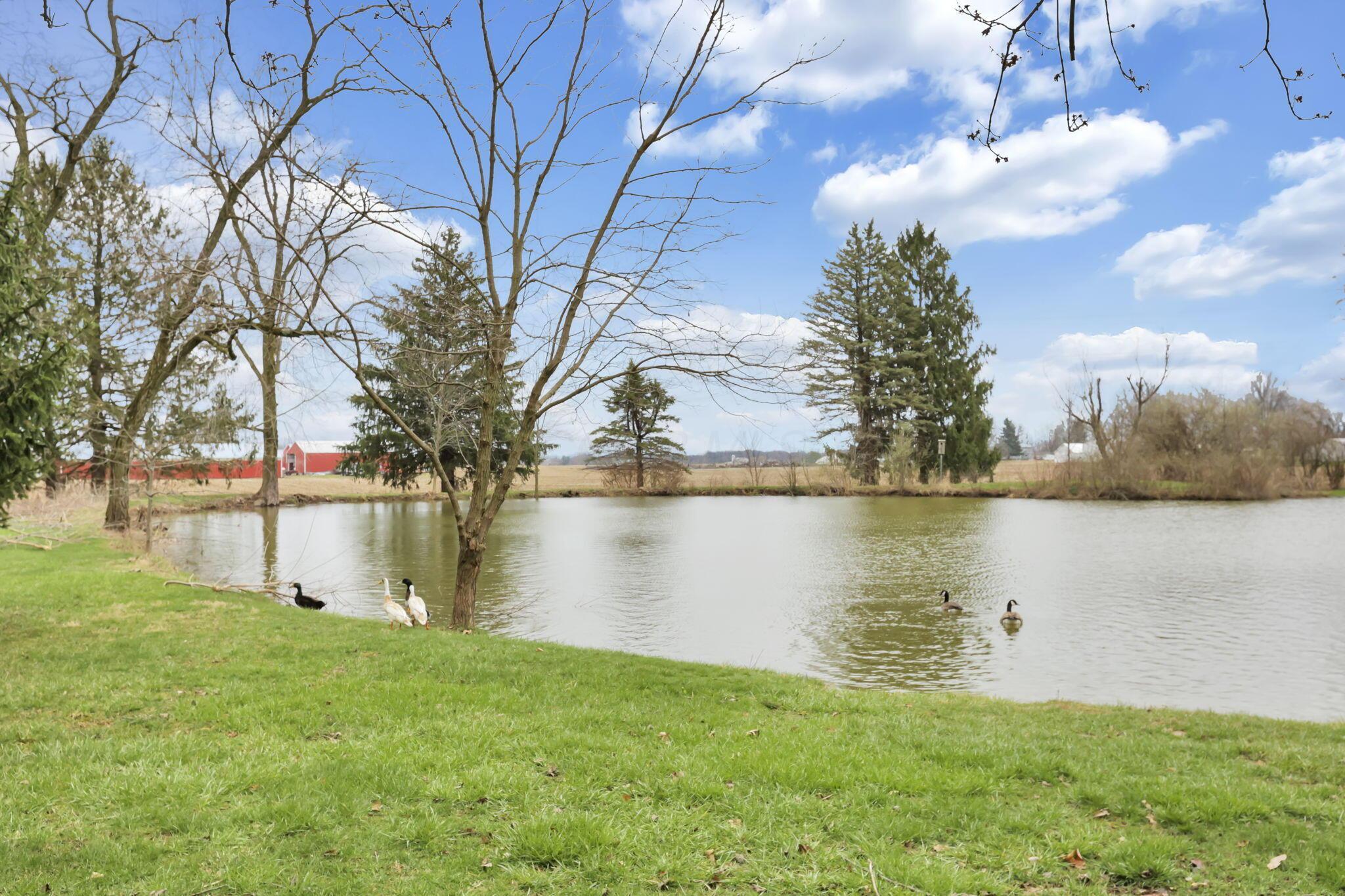 11138 York Road Southwest Baltimore, OH 43105 - Photo 70 of 83 80-web-or-mls-0V3A5106