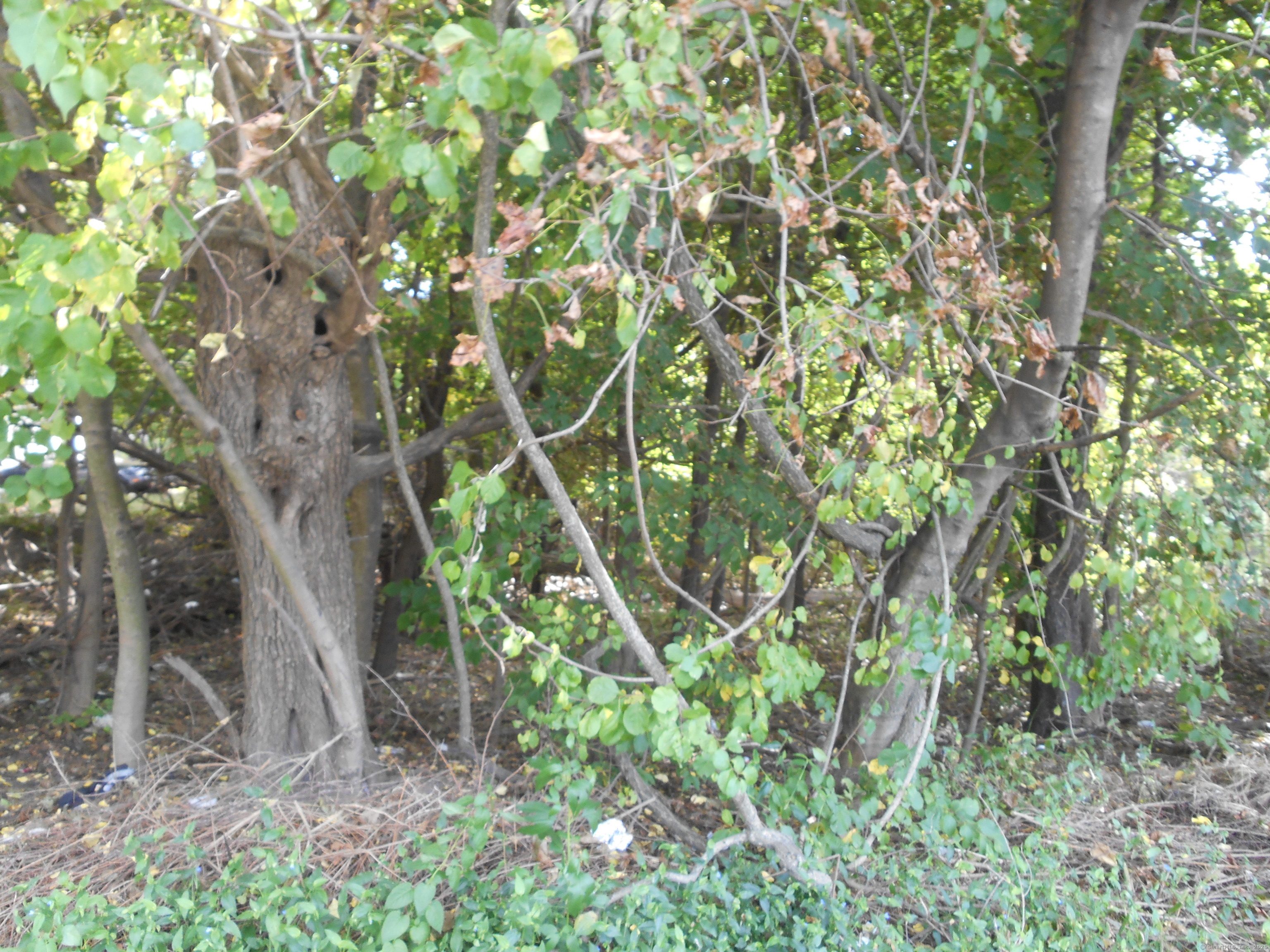 Long Hill Road Waterbury, CT 06705 - Photo 1 of 1 Gallery Image 1