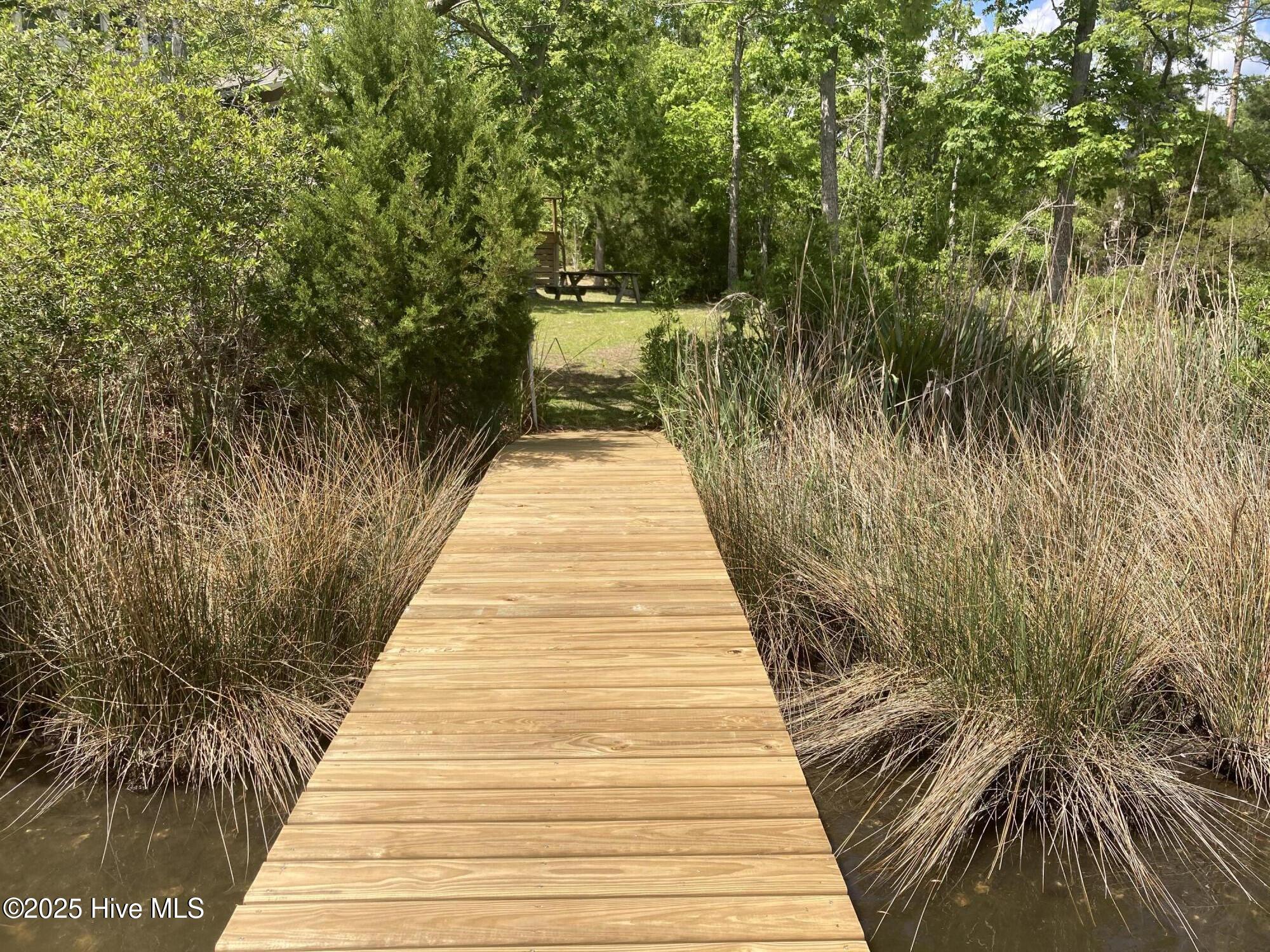 117 Pineview Drive Oriental, NC 28571 - Photo 3 of 6 dock