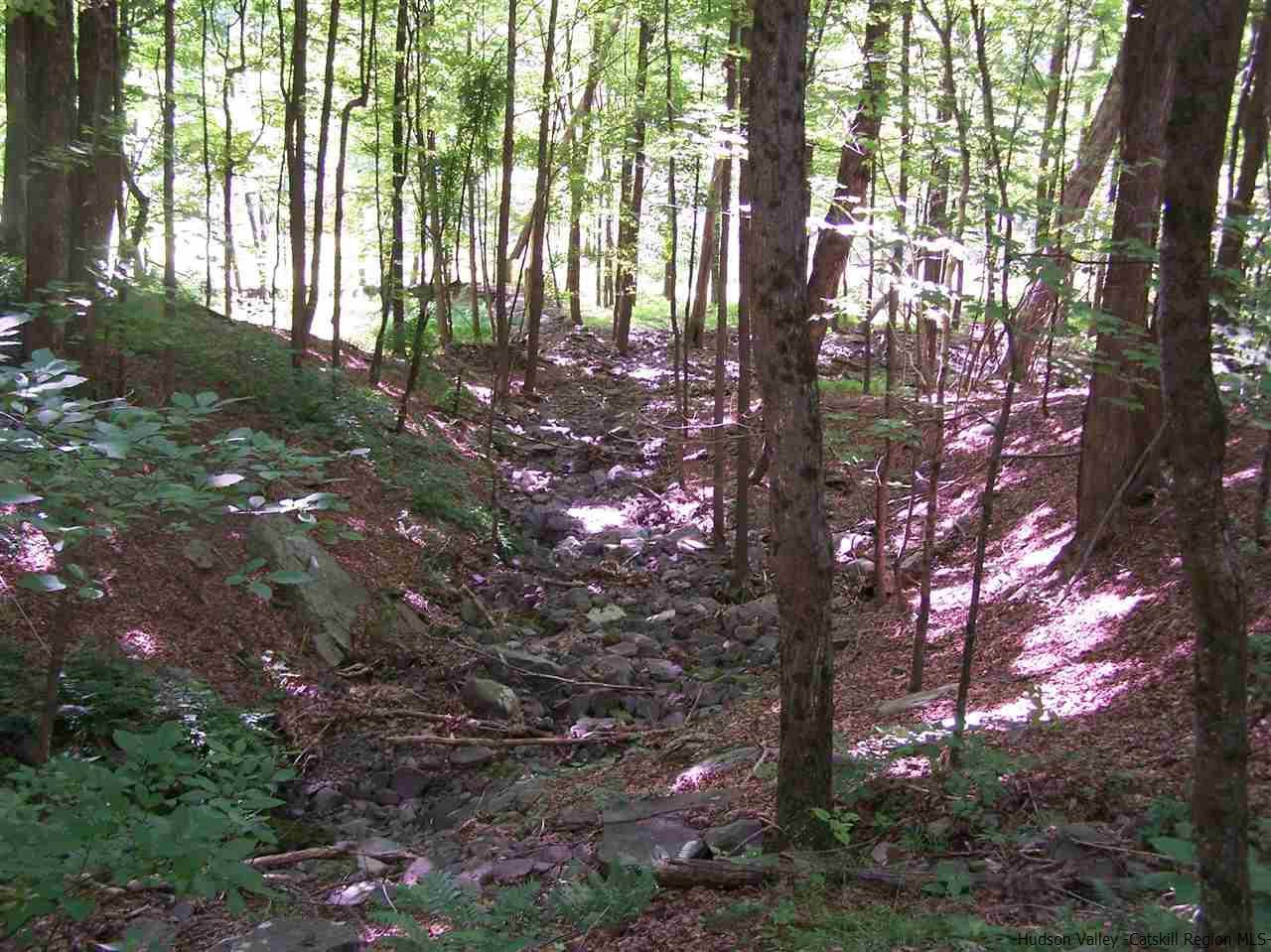 Tbd Ridge Road Shokan, NY 12481 - Photo 12 of 29 Photo 12