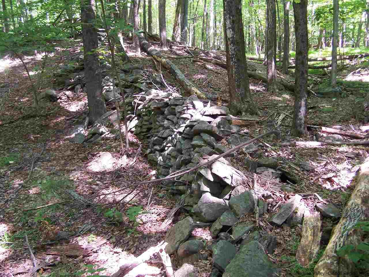 Tbd Ridge Road Shokan, NY 12481 - Photo 13 of 29 Photo 13