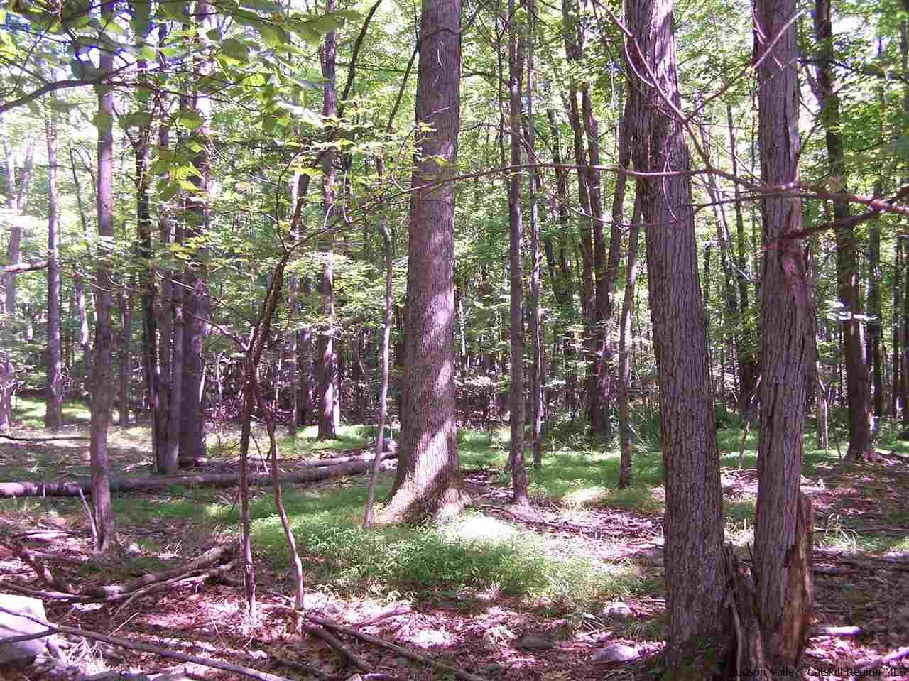 Tbd Ridge Road Shokan, NY 12481 - Photo 17 of 29 Photo 17