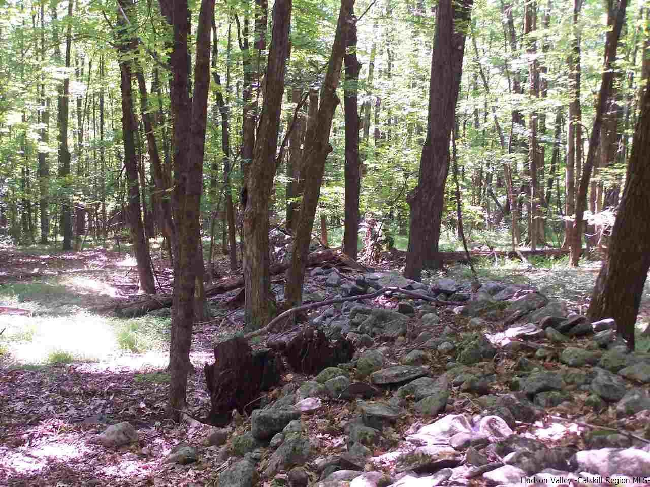 Tbd Ridge Road Shokan, NY 12481 - Photo 23 of 29 Photo 23