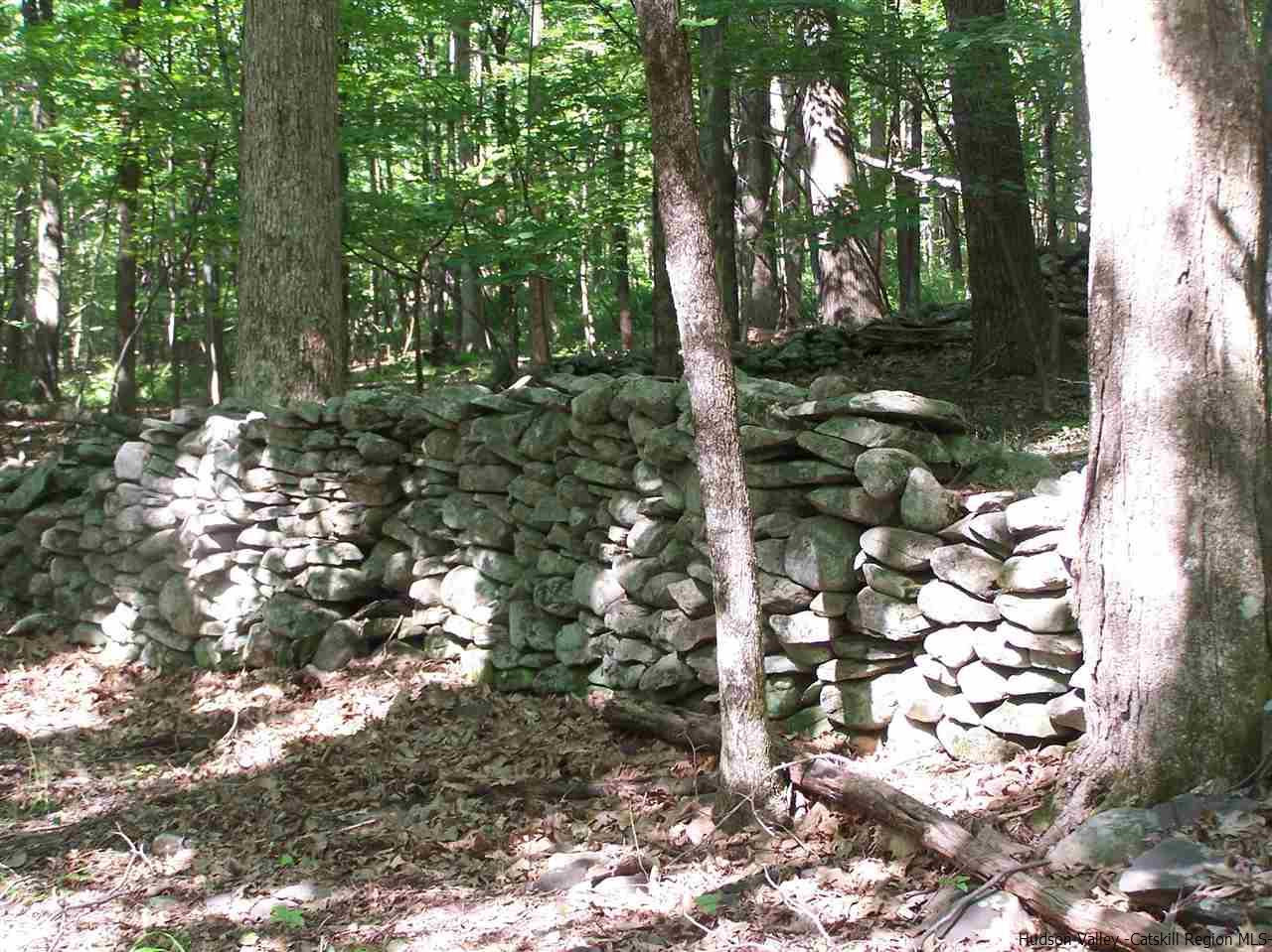 Tbd Ridge Road Shokan, NY 12481 - Photo 25 of 29 Photo 25