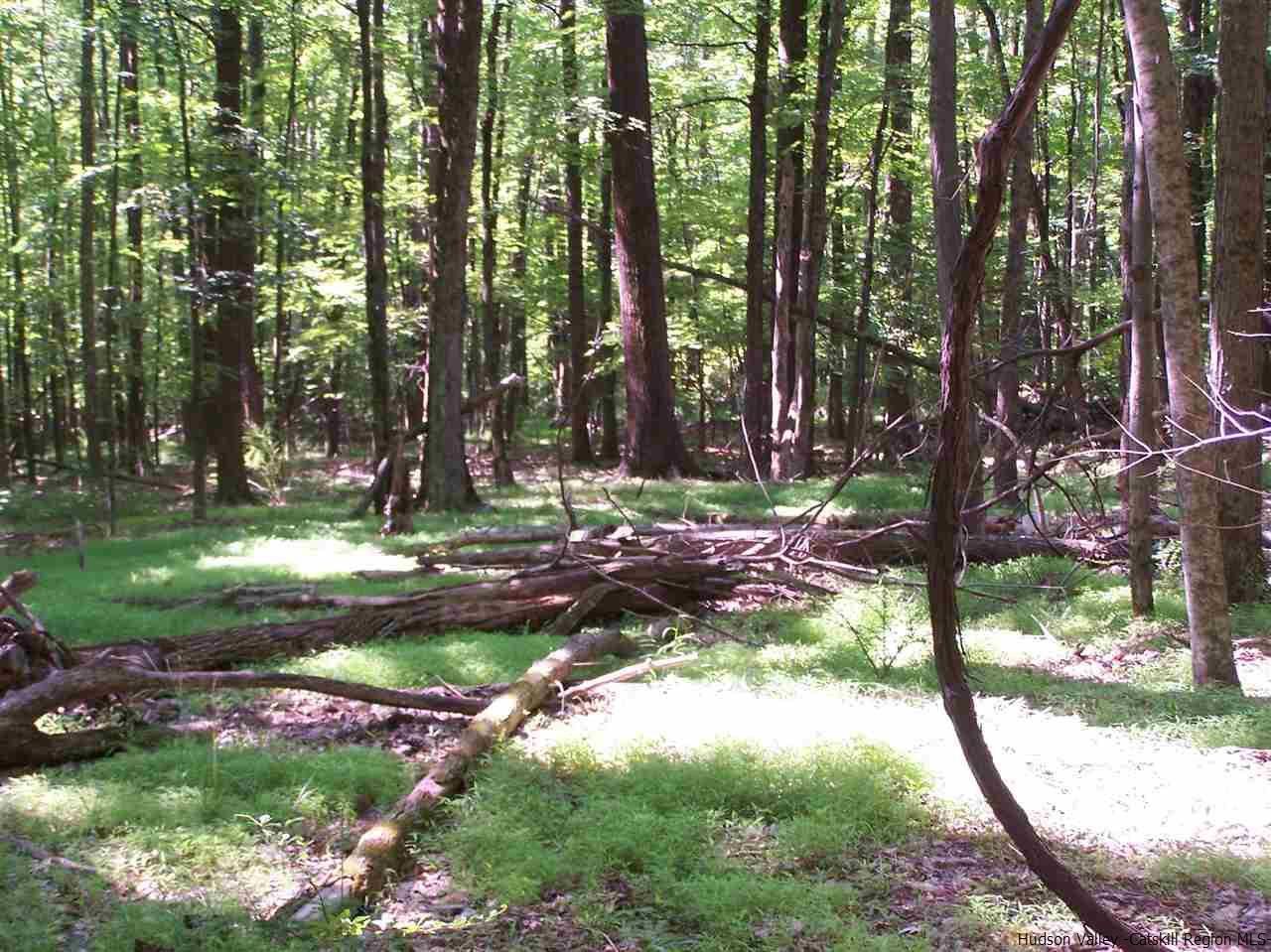 Tbd Ridge Road Shokan, NY 12481 - Photo 27 of 29 Photo 27