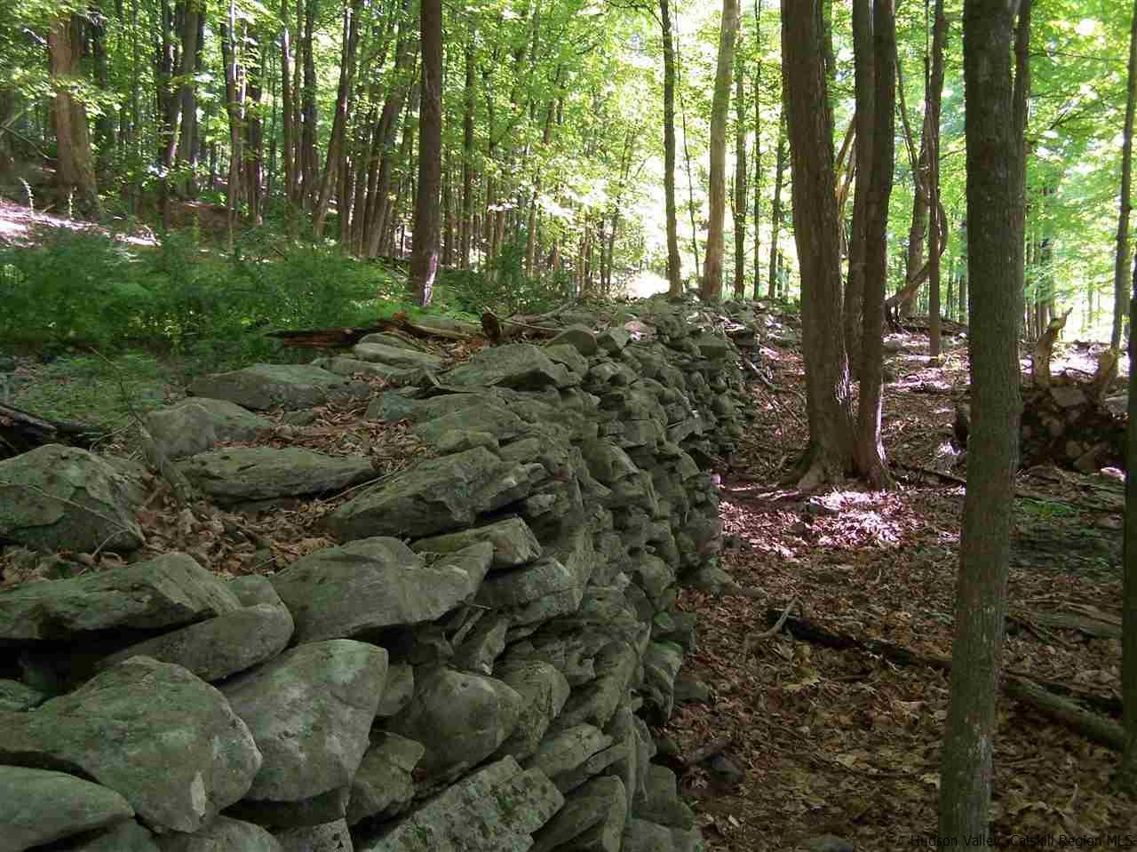 Tbd Ridge Road Shokan, NY 12481 - Photo 29 of 29 Photo 29