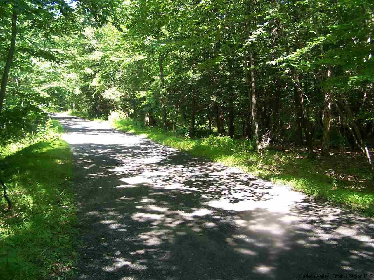 Tbd Ridge Road Shokan, NY 12481 - Photo 8 of 29 Photo 8