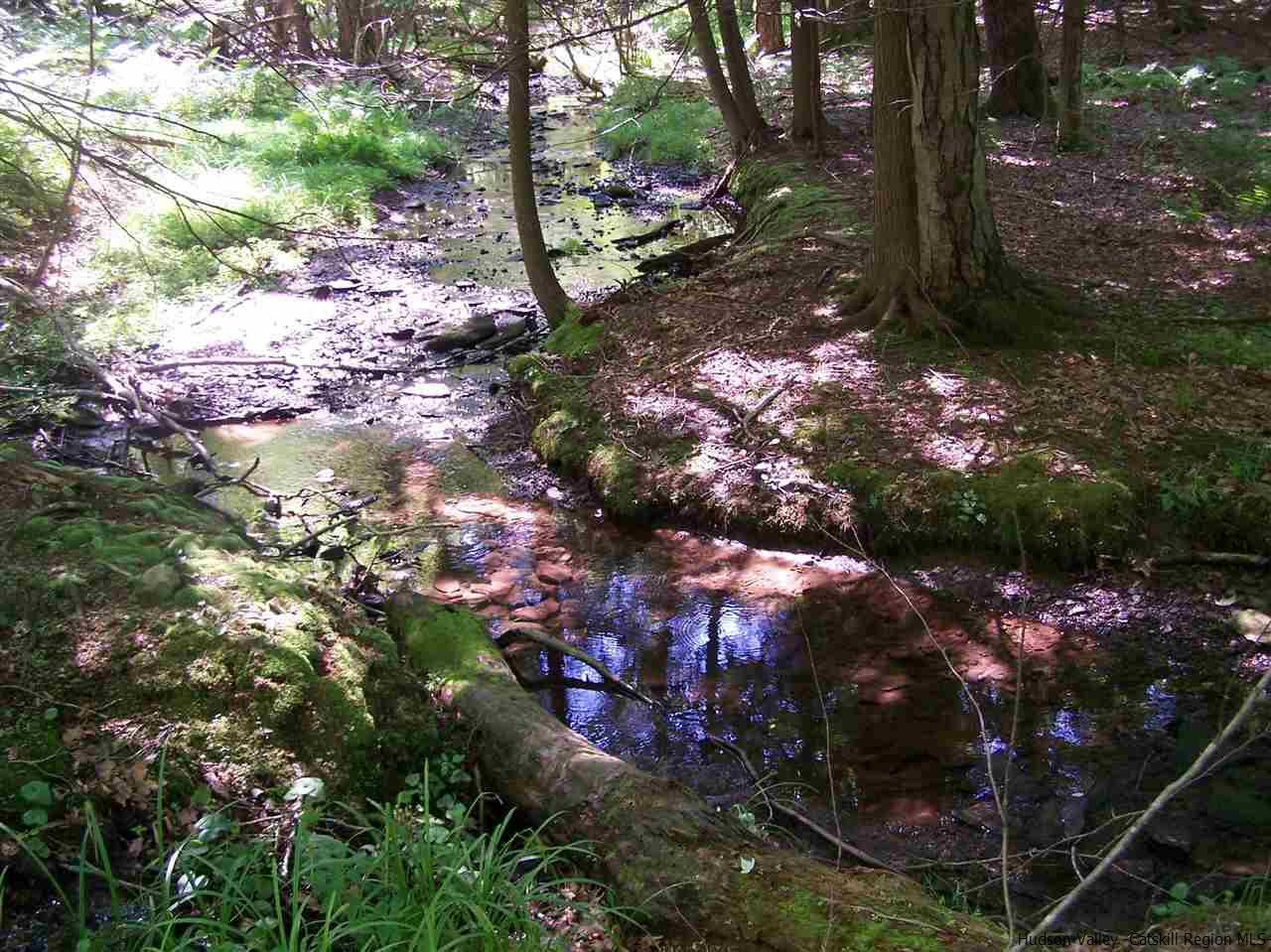 Tbd Ridge Road Shokan, NY 12481 - Photo 10 of 29 Photo 10
