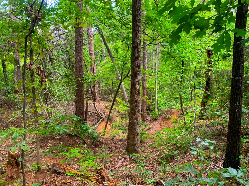 341 East Church Road Easley, SC 29642 - Photo 12 of 14