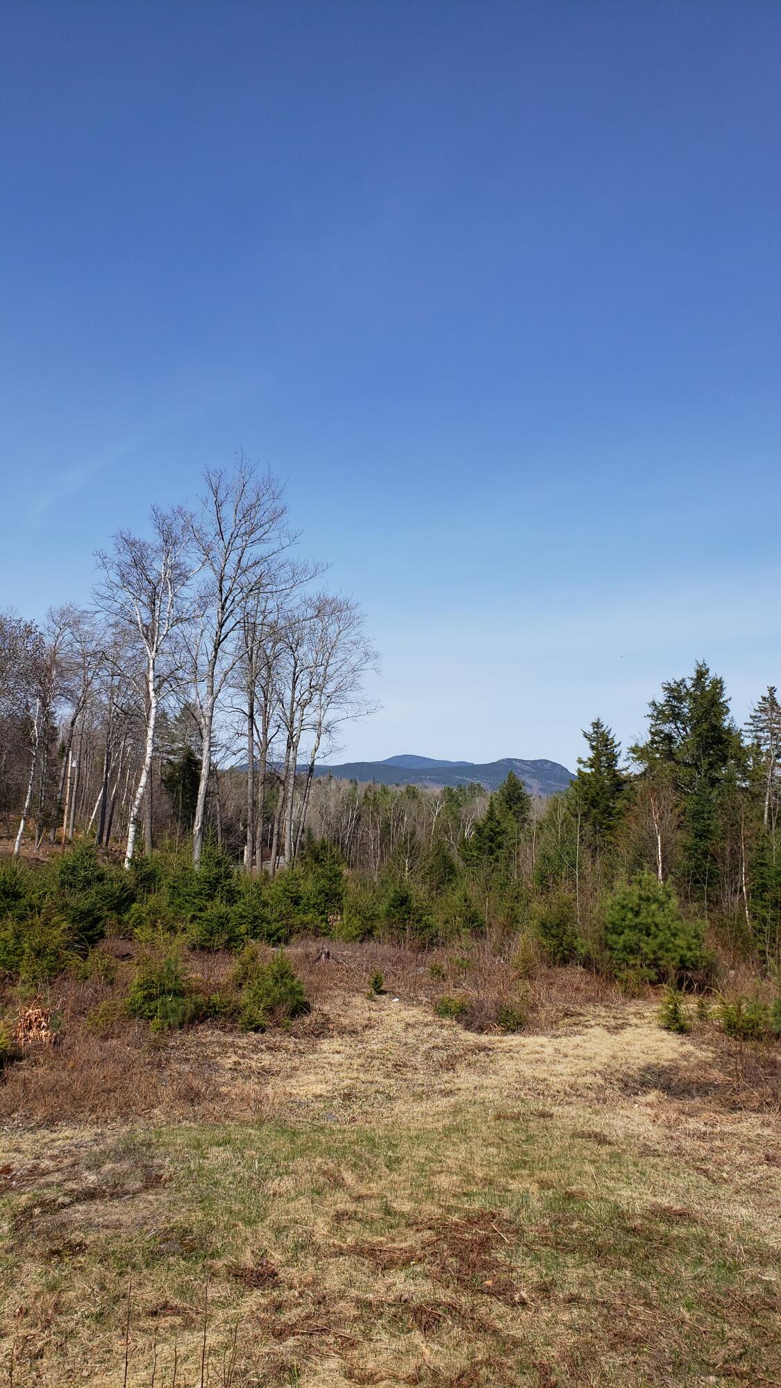 Map12-lot7 Elliotsville Road Monson, ME 04464 - Photo 3 of 10 View Mtn