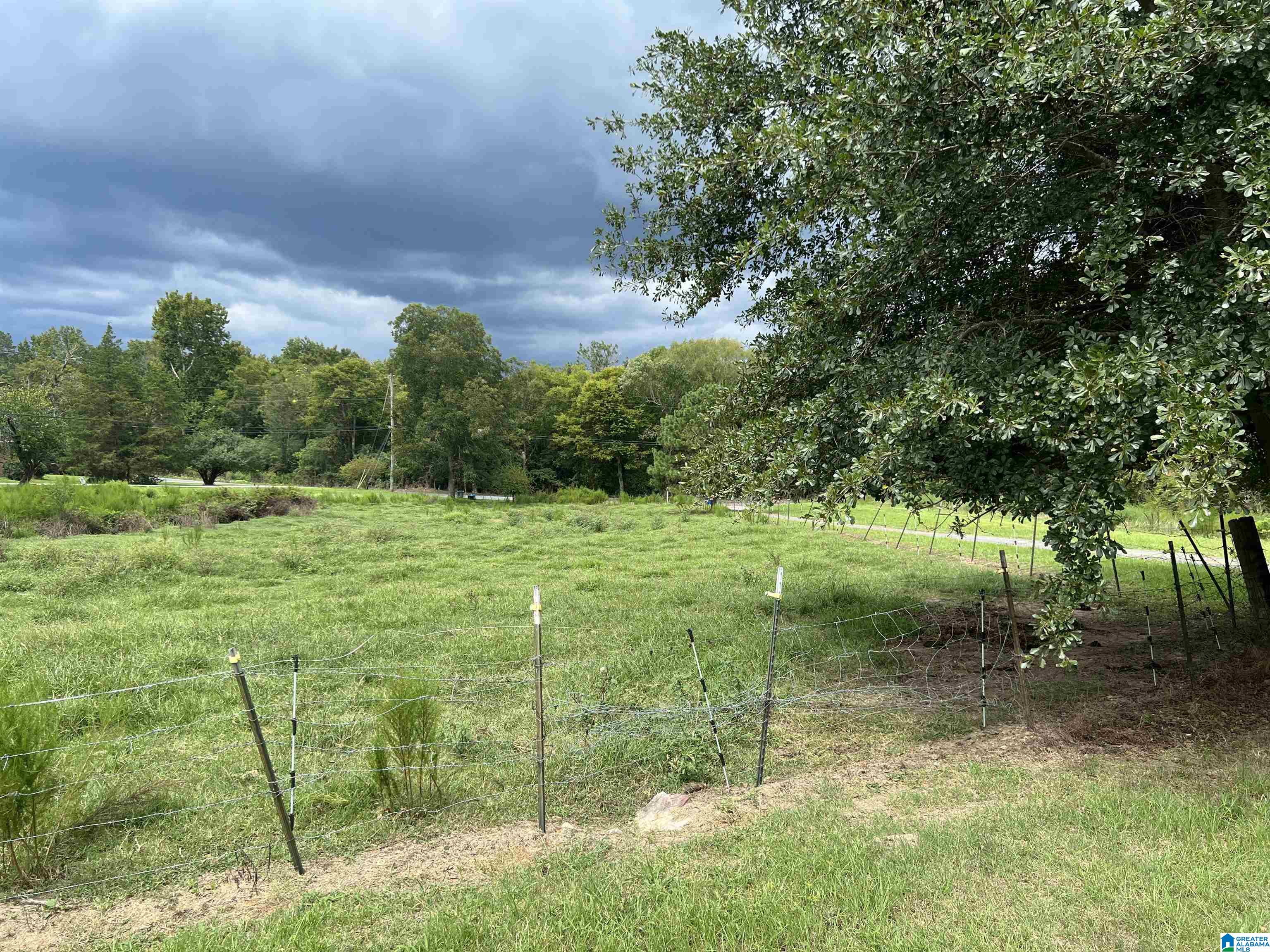 1040 Ebell Road Oneonta, AL 35121 - Photo 3 of 8