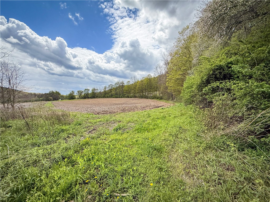 5360 Church Road Moravia, NY 13118 - Photo 44 of 50