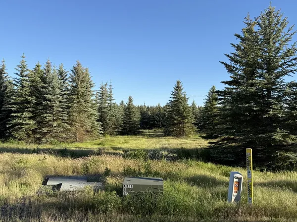 $489,250 | 119-xx South 119-xx S Spruce Tree Lane, Mica, WA 99023