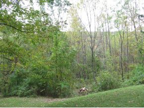 230 Ransom Road Binghamton, NY 13901 - Photo 3 of 9 Gallery Image 3