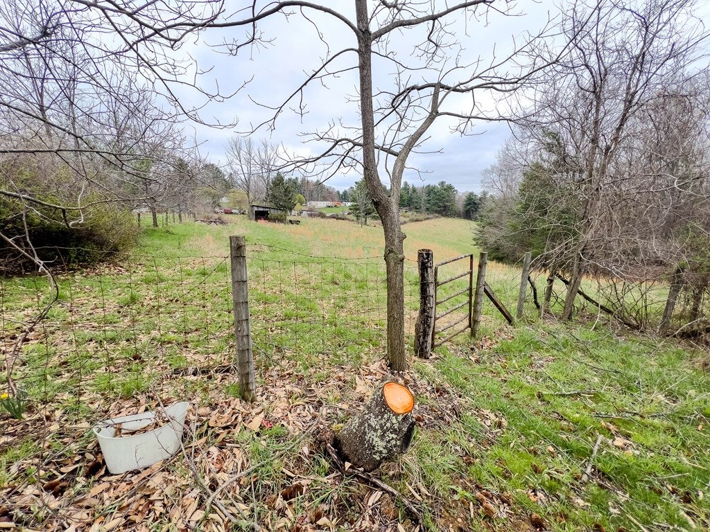 730 Wildcat Road Hillsville, VA 24343 - Photo 18 of 42 Gallery Image 18