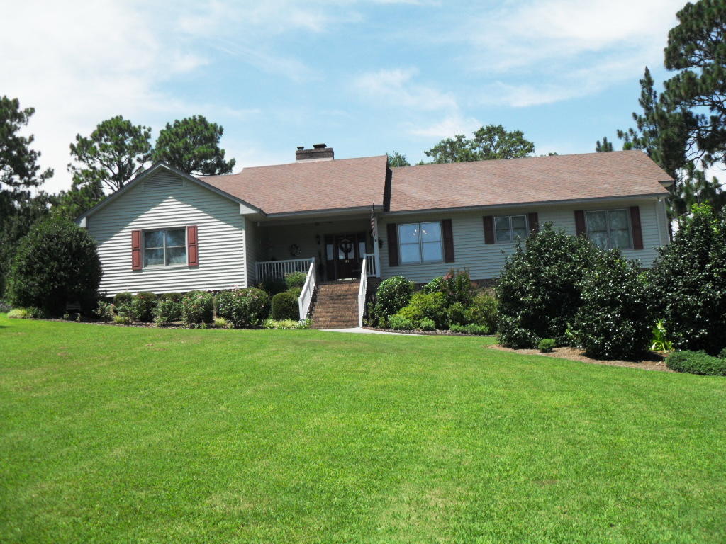 main view