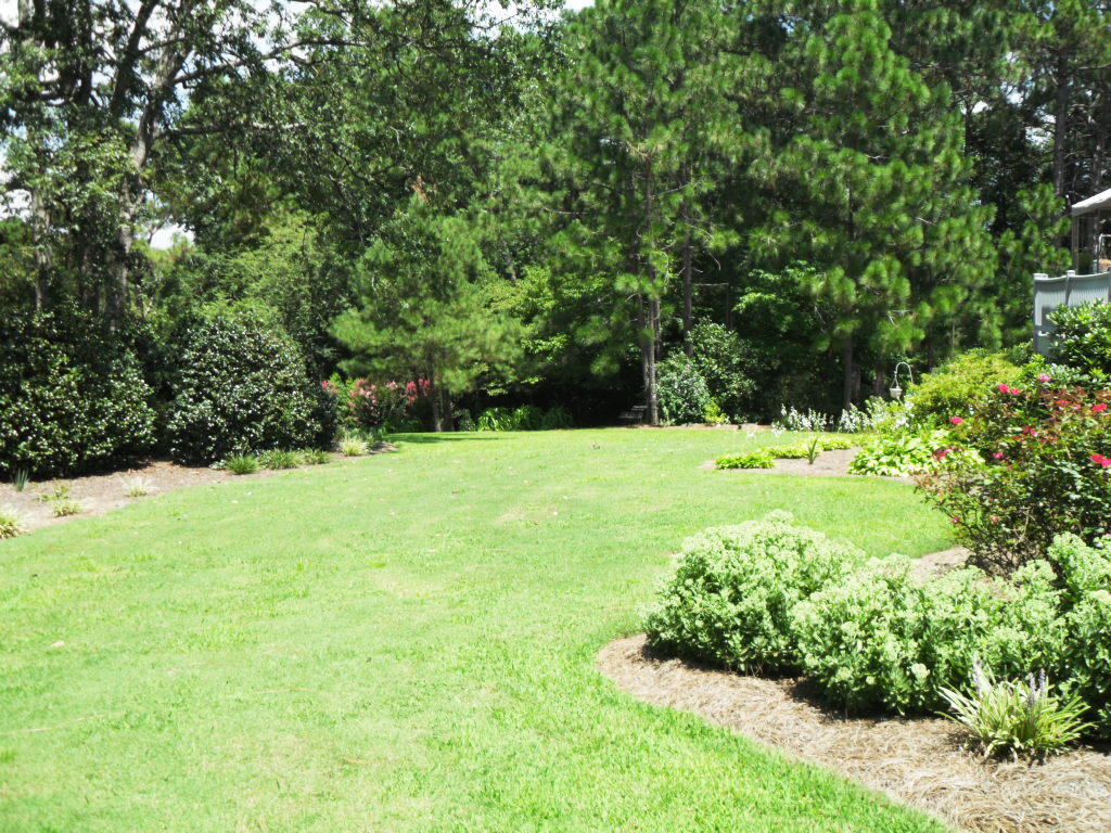 181 Fairway Drive Rockingham, NC 28379 - Photo 8 of 31 SDC12632