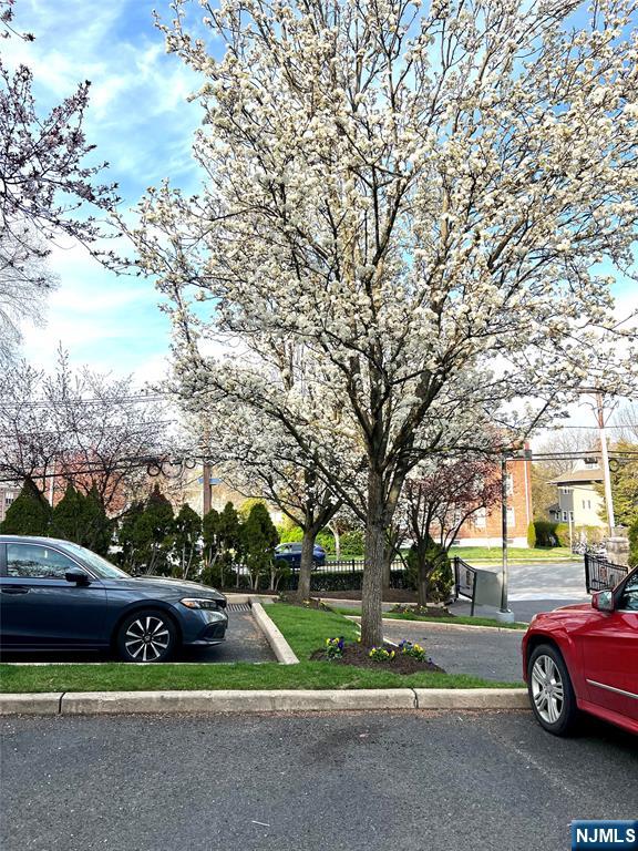 131 Clinton Place, Unit 116 Hackensack, NJ 07601 - Photo 3 of 13