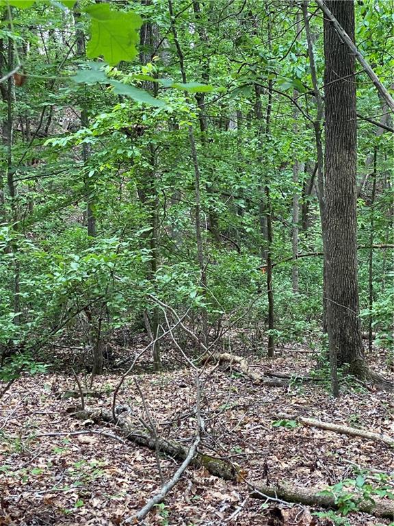 --- New Gray Rock Road Fort Mill, SC 29708 - Photo 5 of 7 a view of a forest with trees