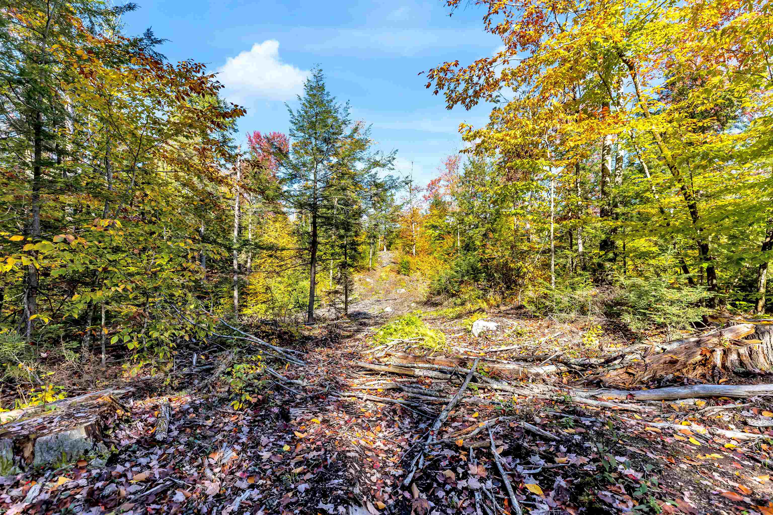 Lot 04-46-00 Rindge Nh 03461 Rindge, NH 03461 - Photo 3 of 14 Gallery Image 3