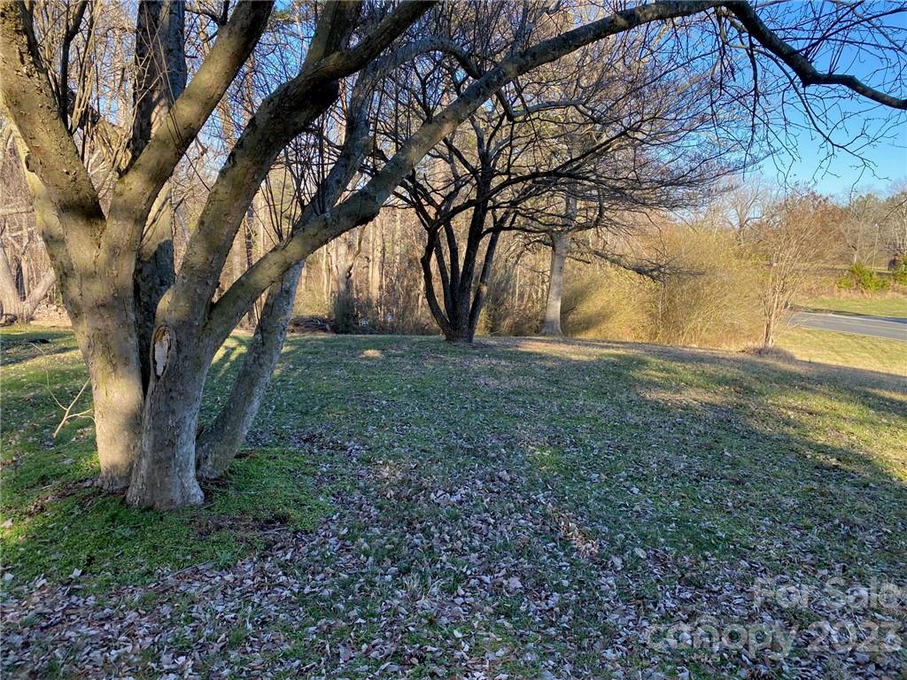 430 Russell Road Polkton, NC 28135 - Photo 4 of 18 a view of backyard with tree