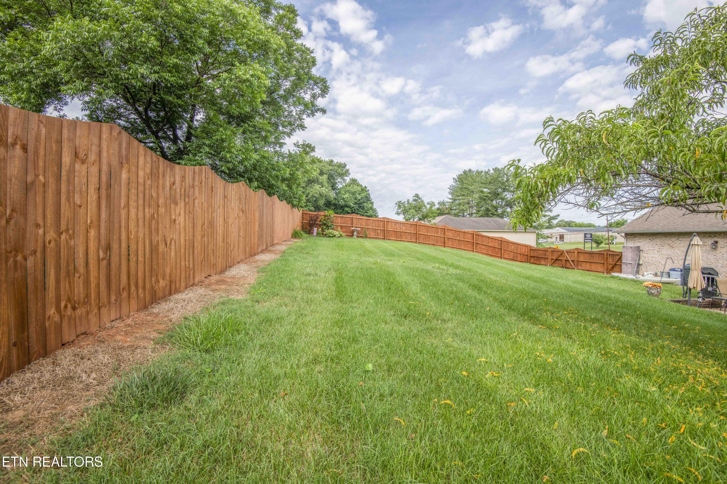 1217 Topside Road Louisville, TN 37777 - Photo 28 of 32 yard 3_1