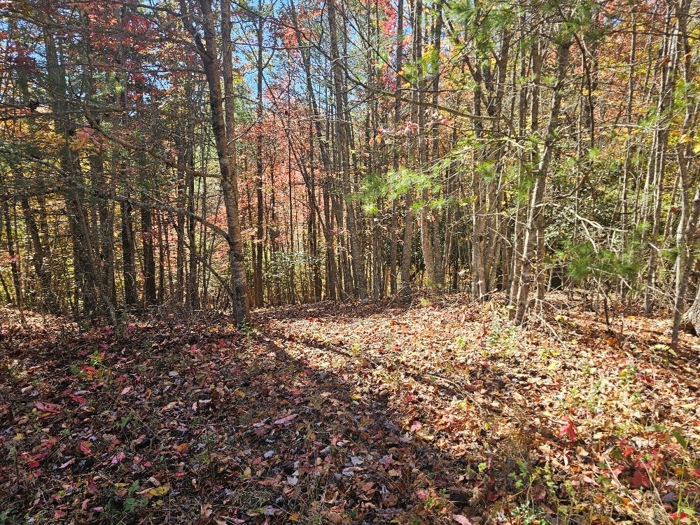 39-e-2-17 Carsonville Road, Unit 17 Galax, VA 24333 - Photo 12 of 14 Gallery Image 12