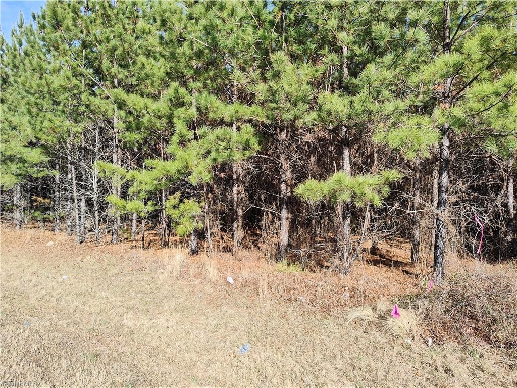 Lot 5 Windblow Road Jackson Springs, NC 27281 - Photo 1 of 1