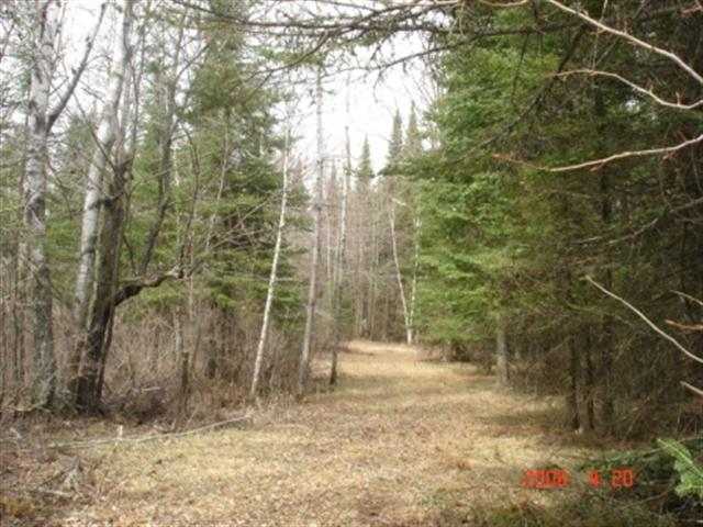 X West Road Wright, MN 55798 - Photo 1 of 5 Gallery Image 1