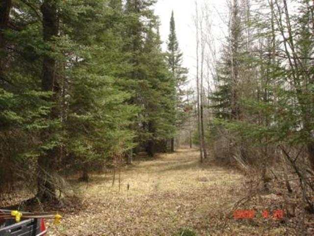 X West Road Wright, MN 55798 - Photo 4 of 5 Gallery Image 4