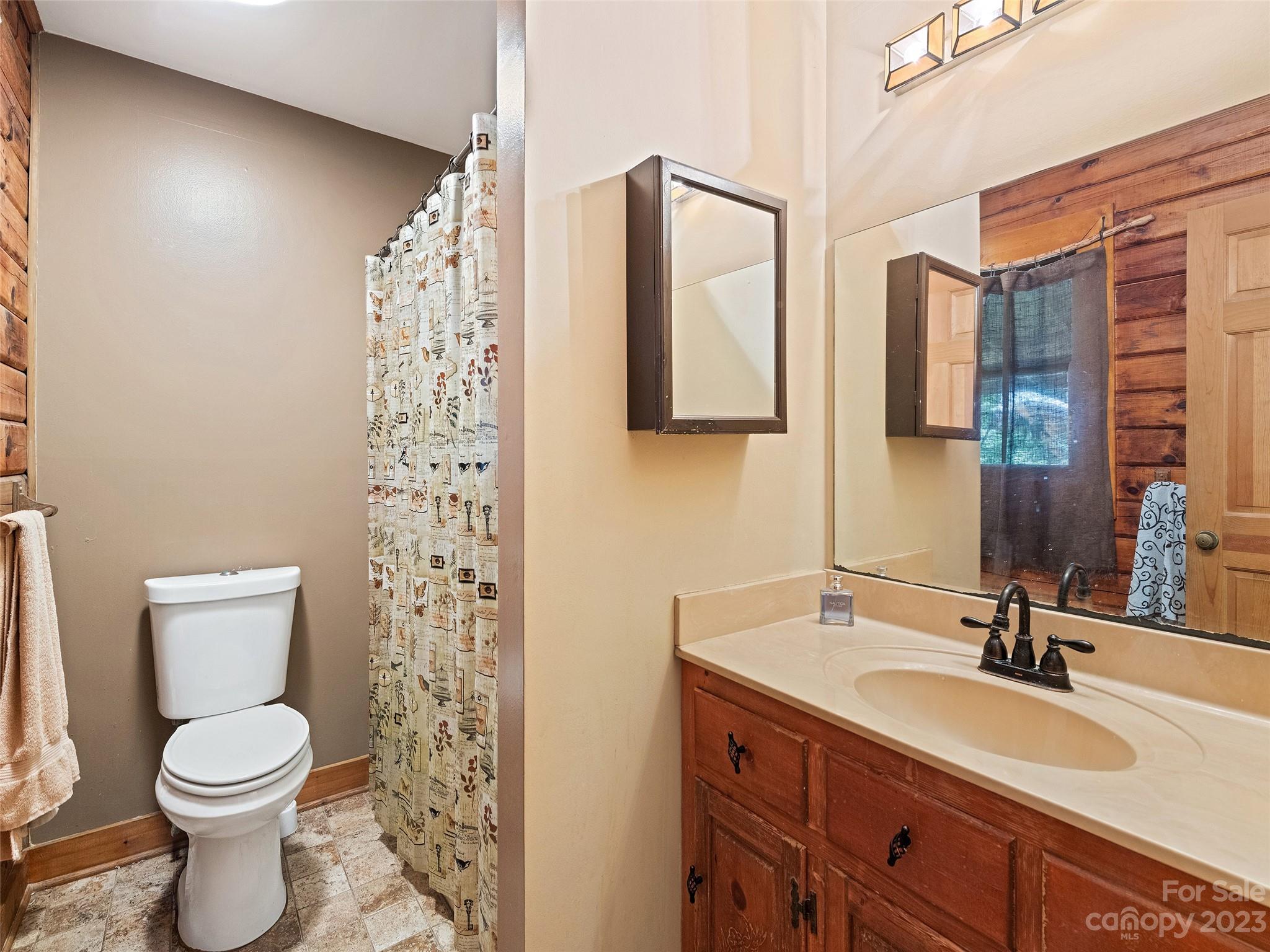 28 Honeybear Lane Clyde, NC 28721 - Photo 20 of 43 a bathroom with a toilet a sink and a mirror