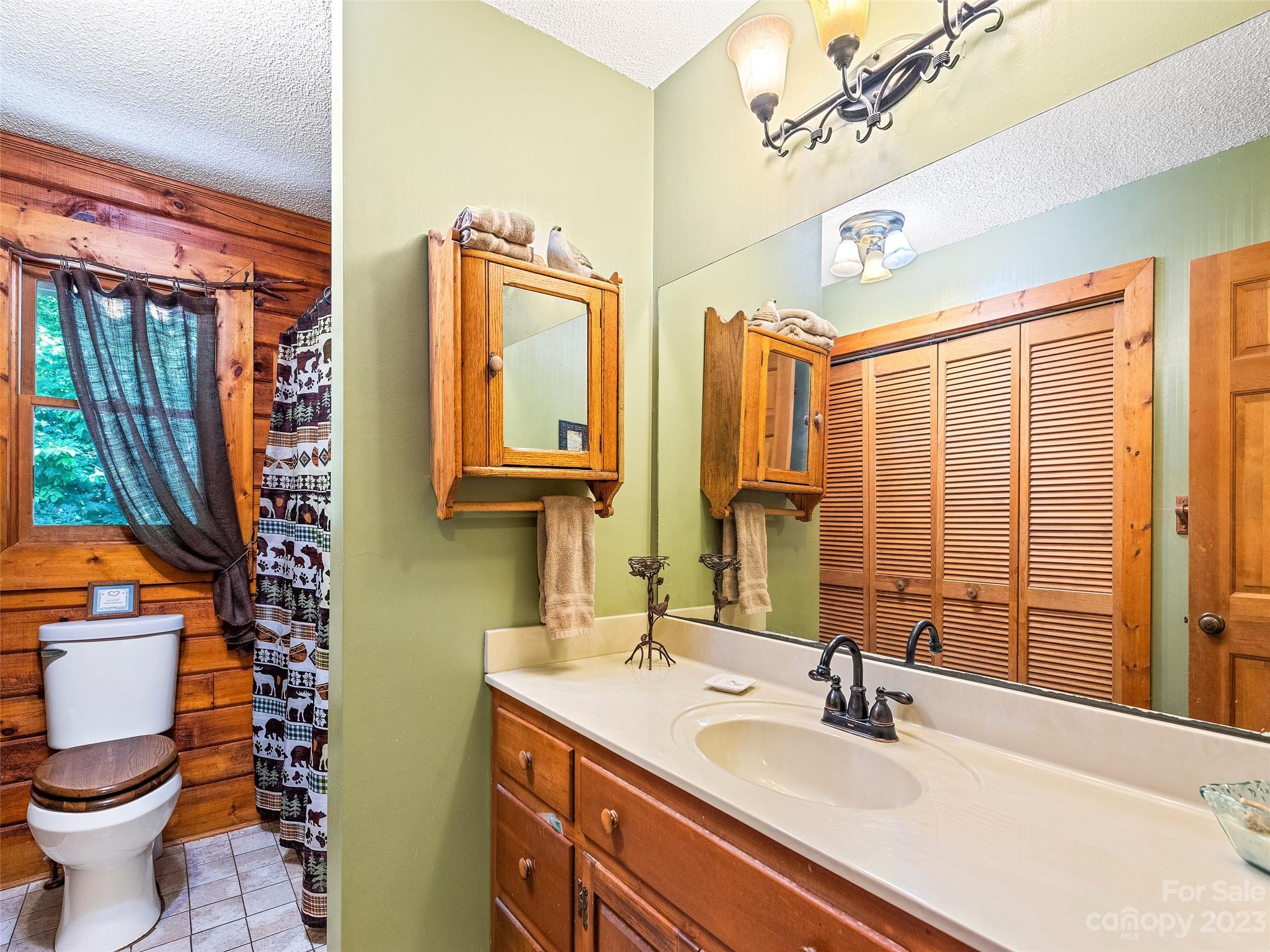 28 Honeybear Lane Clyde, NC 28721 - Photo 23 of 43 a bathroom with a sink toilet and shower