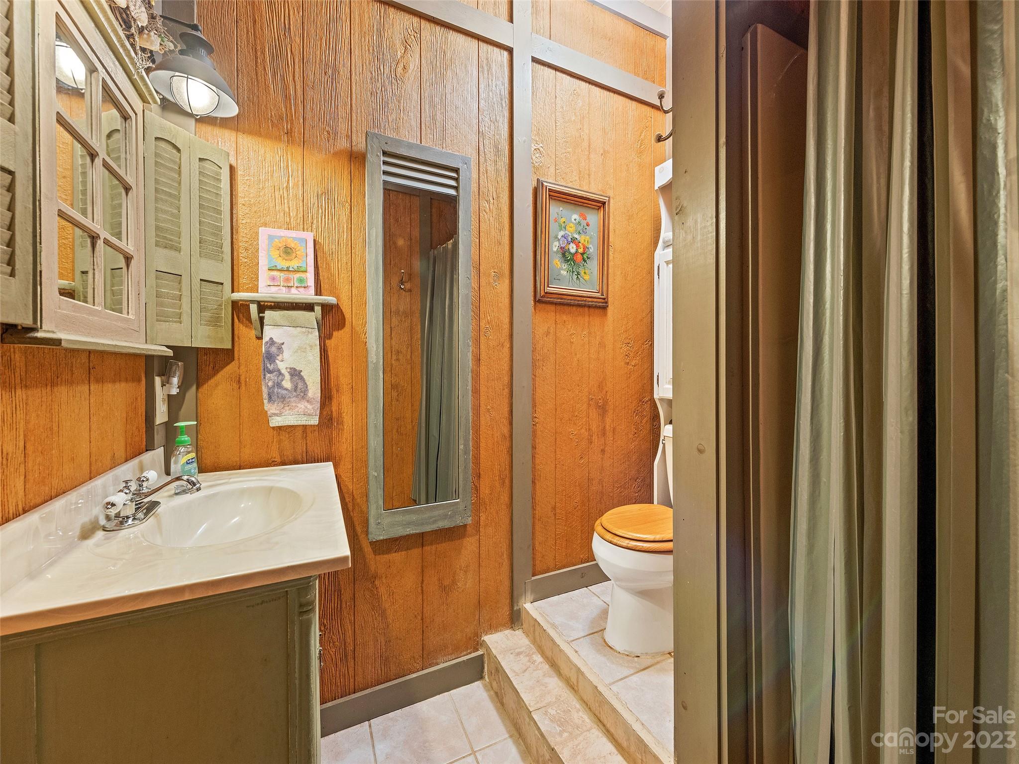28 Honeybear Lane Clyde, NC 28721 - Photo 30 of 43 a bathroom with a sink a toilet and shower