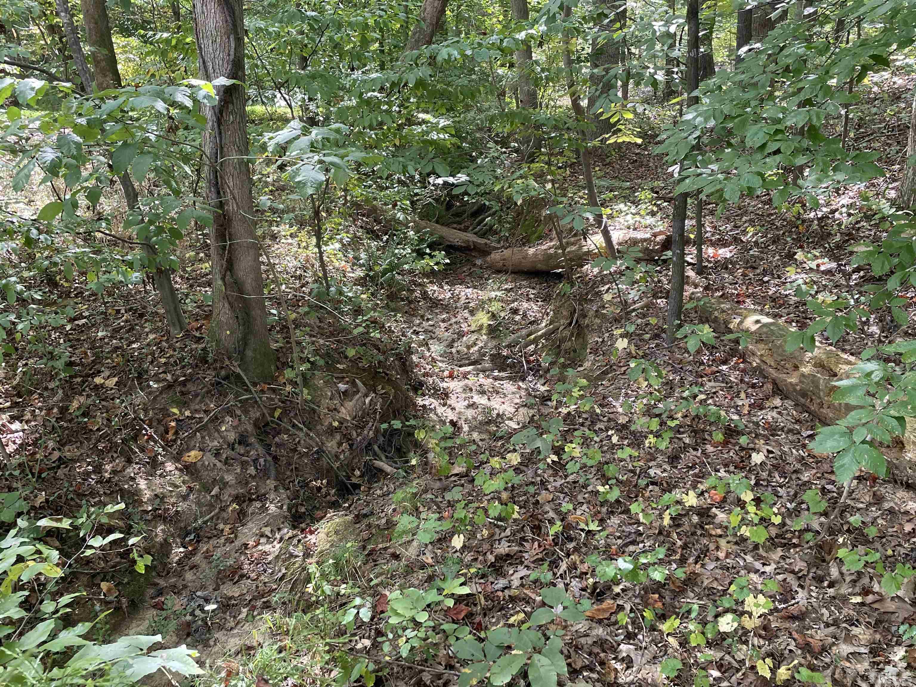 0 Cooks Mill Road Mebane, NC 27302 - Photo 2 of 5 Gallery Image 2